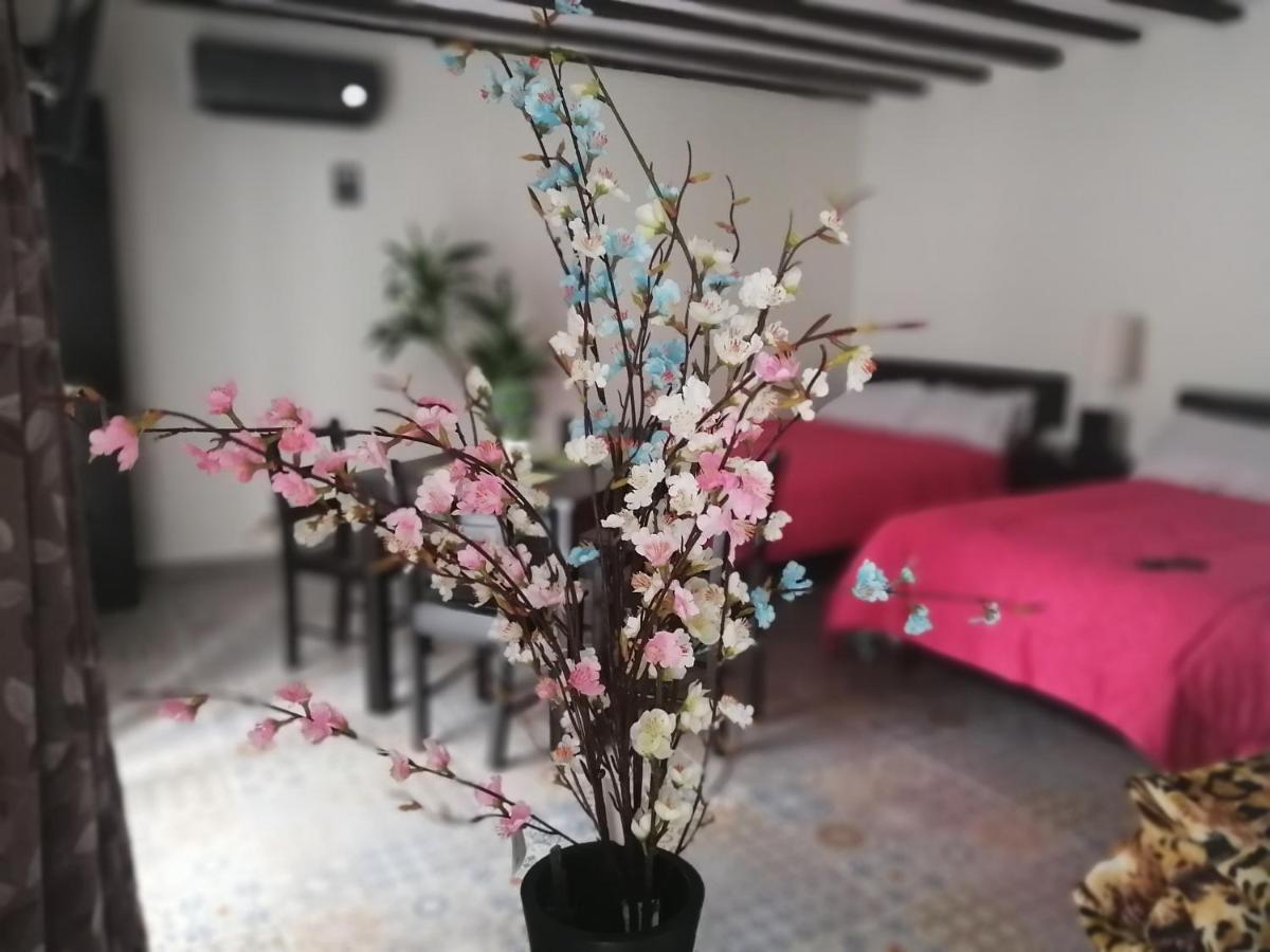 바야돌리드 Casa Mama Bety 아파트 외부 사진