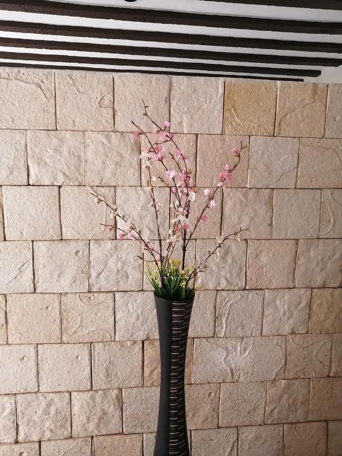 바야돌리드 Casa Mama Bety 아파트 외부 사진